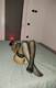 Foto privada de Hotgirl